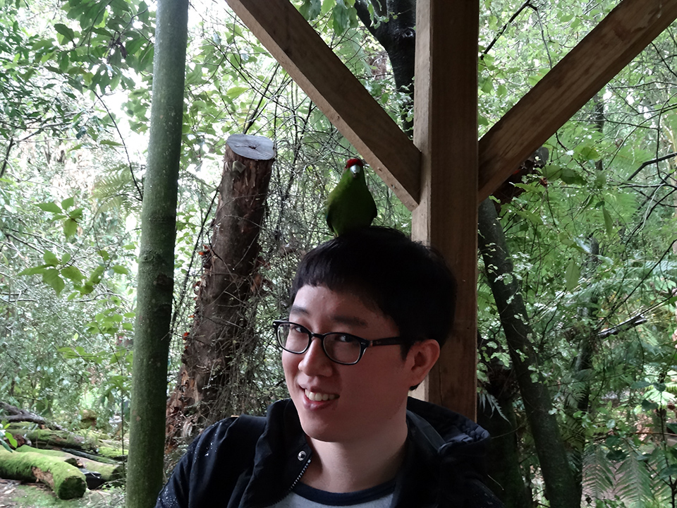 Kakariki At The Otorohanga Kiwi House