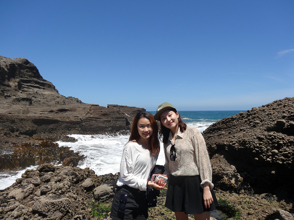 The Gap - Piha
