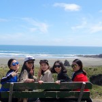 Lookout Over Karekare Beach