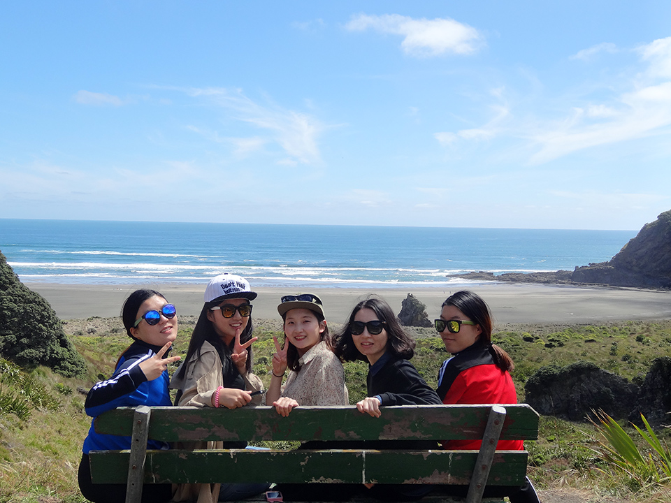 Lookout Over Karekare Beach