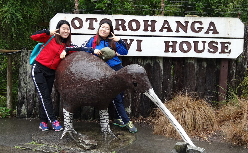 Waitomo Caves and Otorohanga