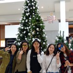 LynnMall
