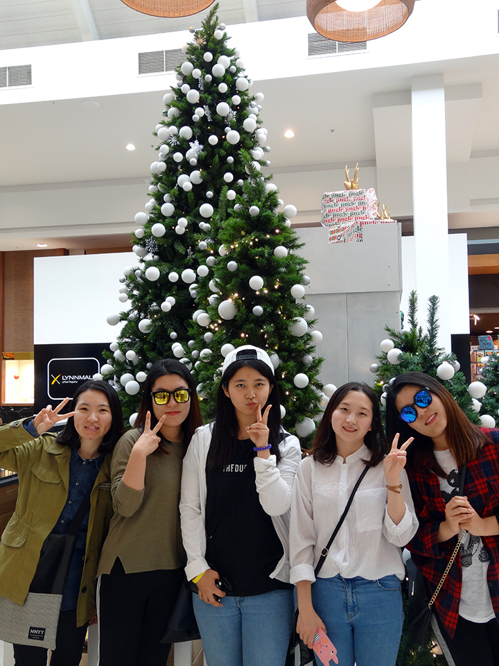 LynnMall