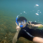 Goat Island Snorkelling