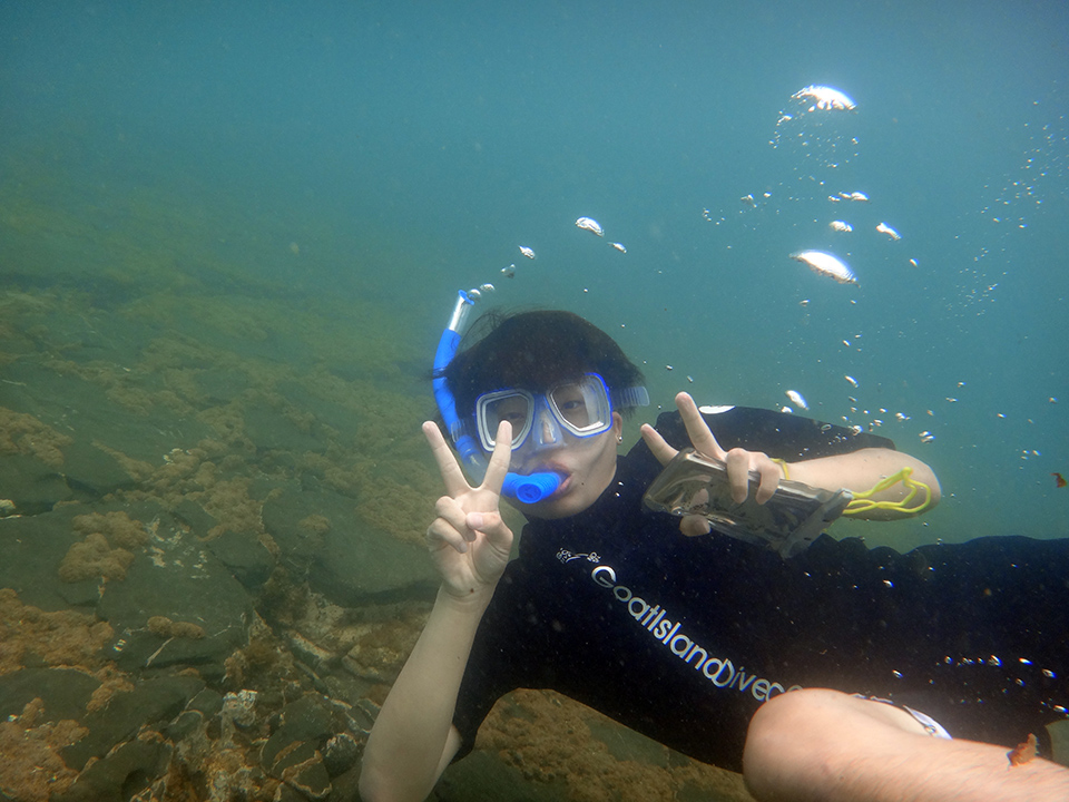Goat Island Snorkelling