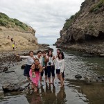 Secluded cove at Bethells Beach
