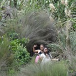 Short bush walk at Bethells Beach
