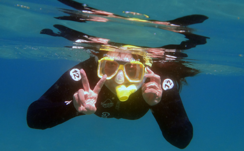 Goat Island Snorkeling