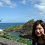 Tasman Lookout - Piha