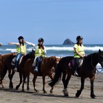 Muriwai Beach Horse Riding