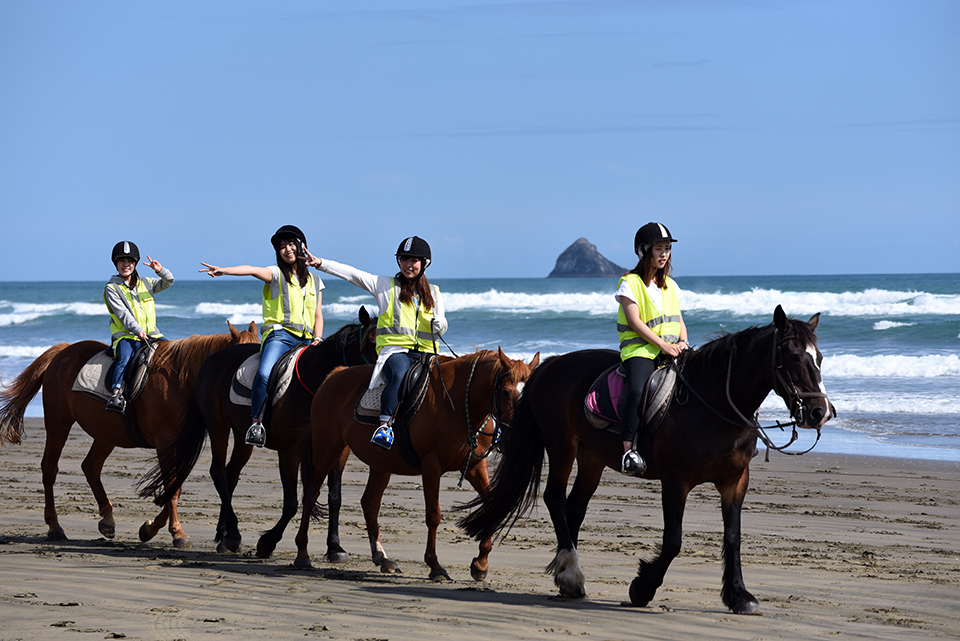 Muriwai Beach Horse Riding