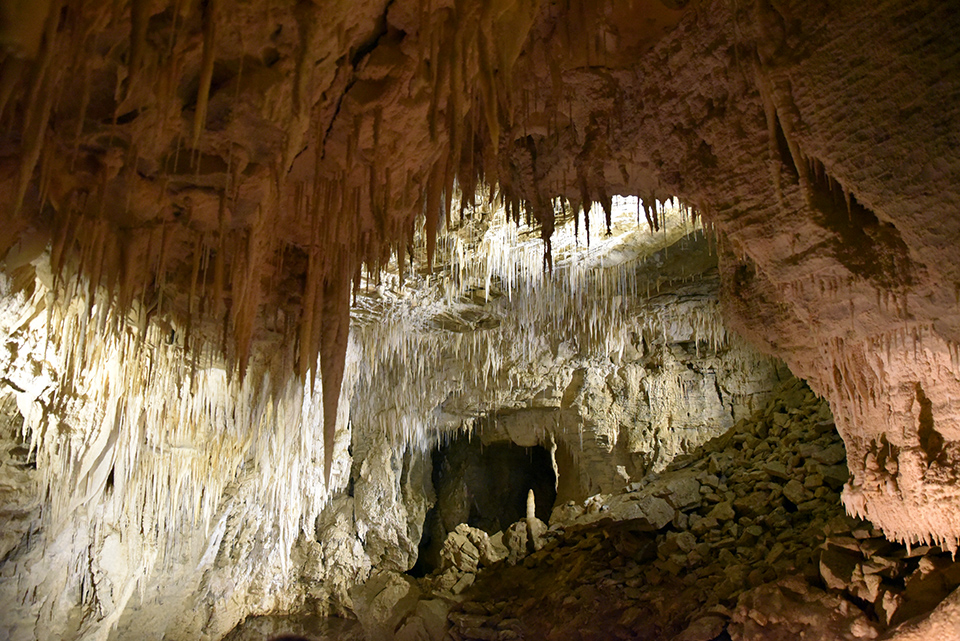 Ruakuri Cave Rock Formations - Waitomo Caves