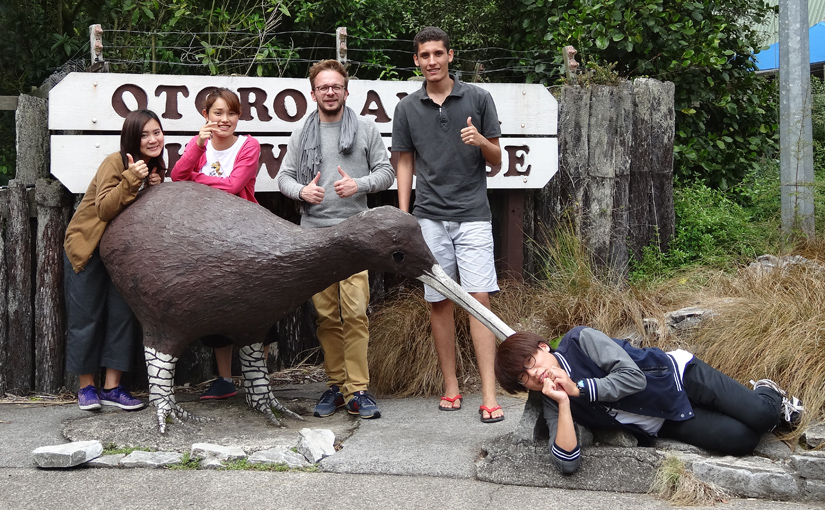 Otorohanga Kiwi House and Waitomo Caves
