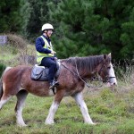 Horse Riding