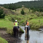 Horse Riding