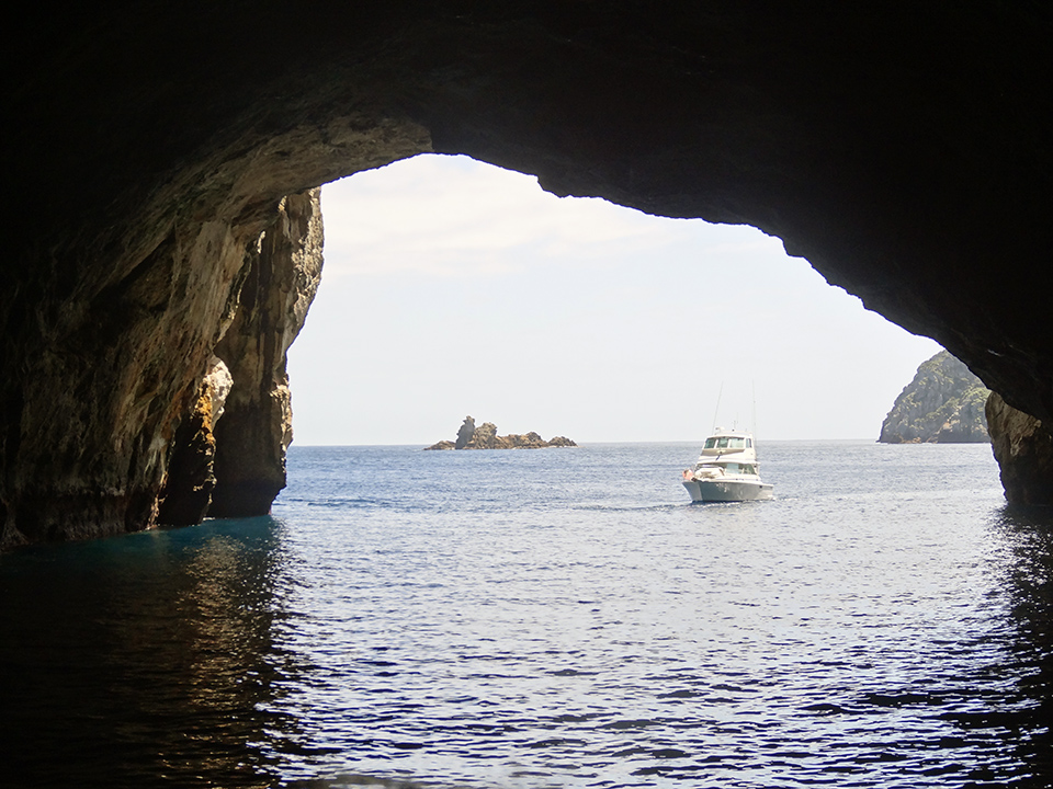 Inside the Rikoriko Cave - Poor Knights Islands