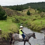 Horse Riding