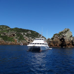Calypso Docked At The Poor Knights Islands