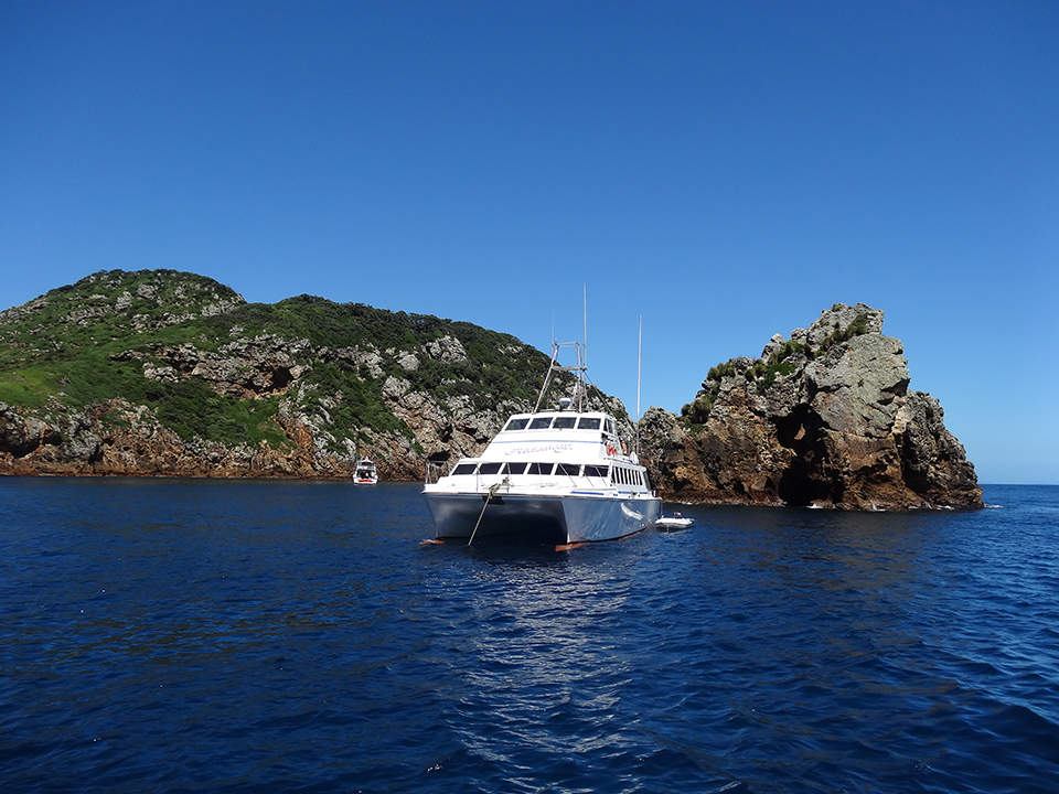 Calypso Docked At The Poor Knights Islands