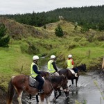 Horse Riding