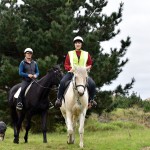 Horse Riding