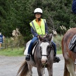 Horse Riding