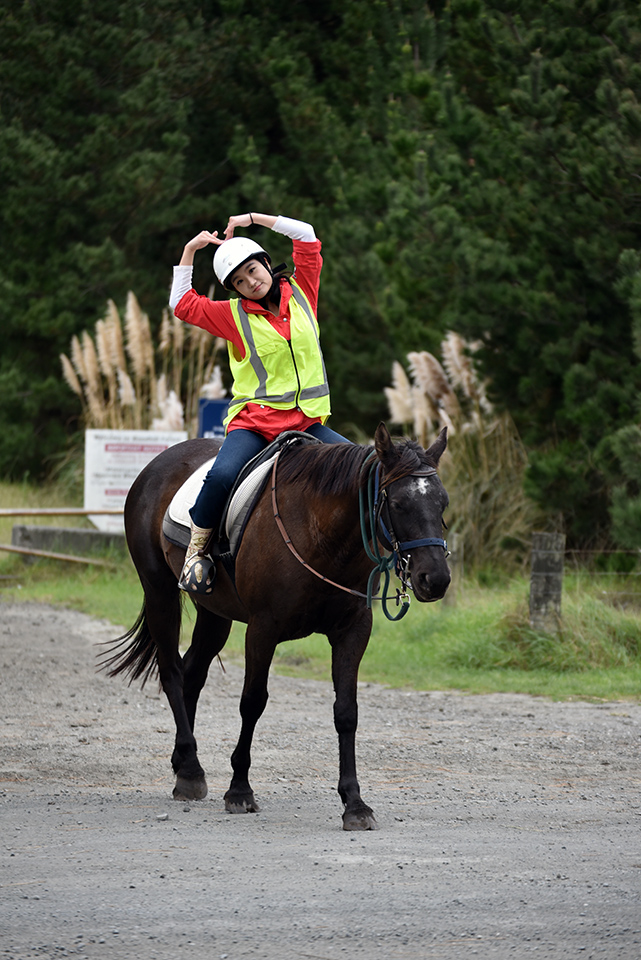 Horse Riding