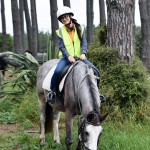 Horse Riding
