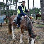 Horse Riding