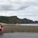 Bethells Beach
