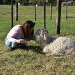 Ambury Regional Park Angora Goat