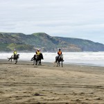 Horse Riding
