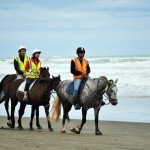 Horse Riding