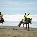 Horse Riding