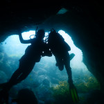 Poor Knights Islands Scuba Diving