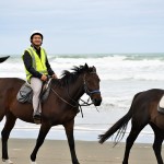 Horse Riding
