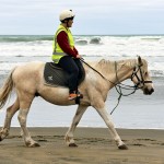 Horse Riding