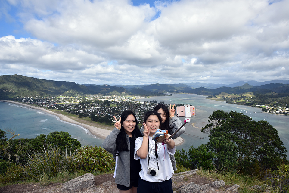 Paku Hill, Tairua