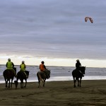 Horse Riding
