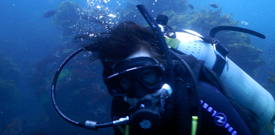 Poor Knights Islands Diving Featured Image