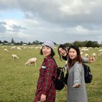 Ambury Farm