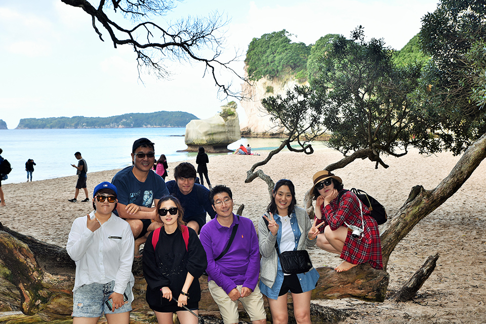 Cathedral Cove, Coromandel