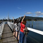 Auckland to Coromandel