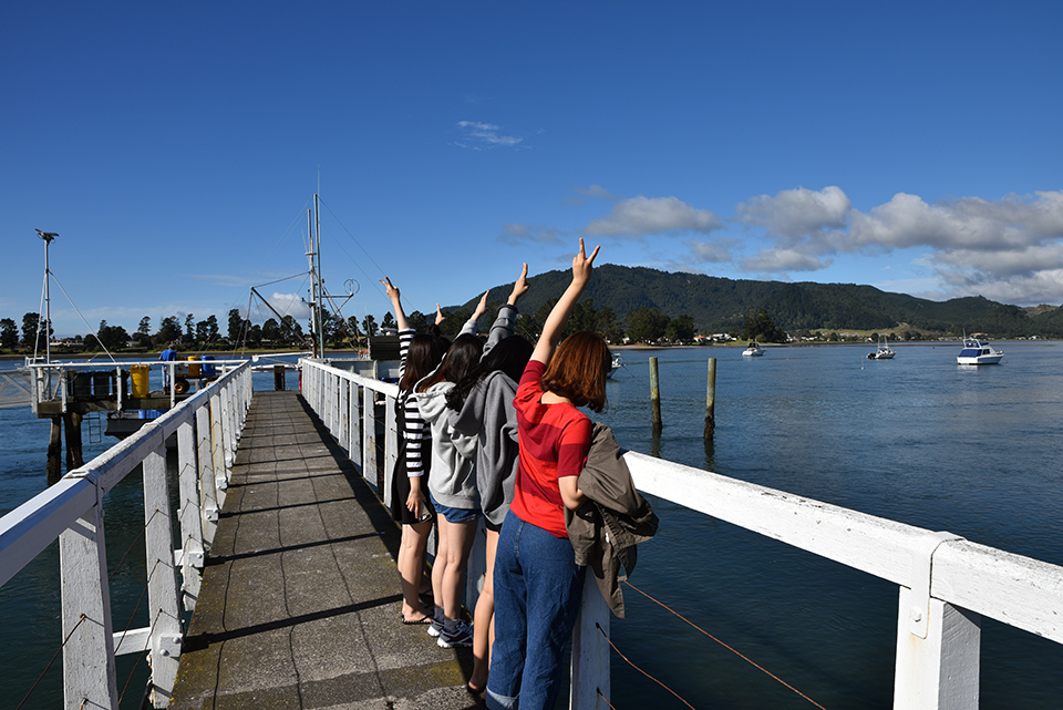 Auckland to Coromandel