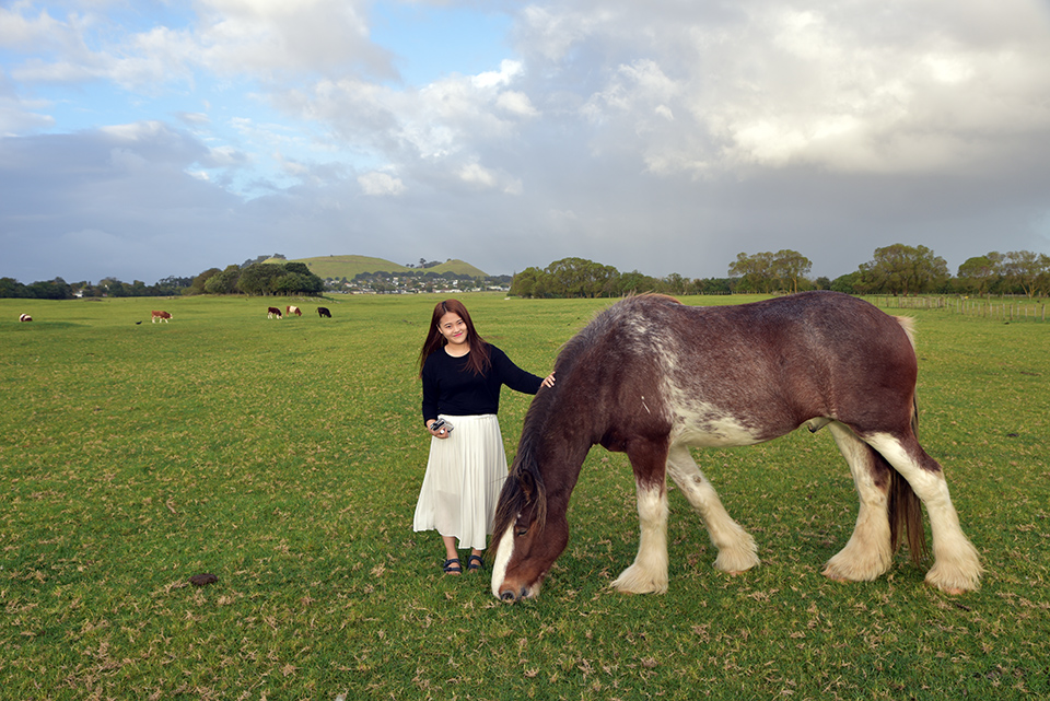 Ambury Farm