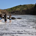 Piha Beach