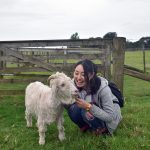 Ambury Farm