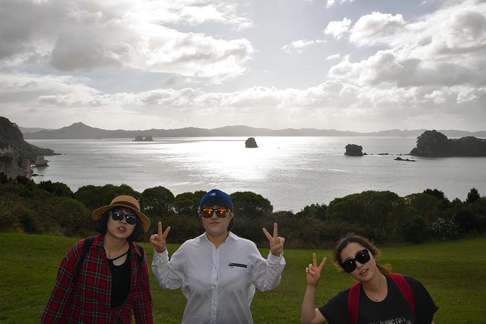 Cathedral Cove, Coromandel