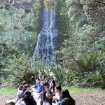 Karekare Falls
