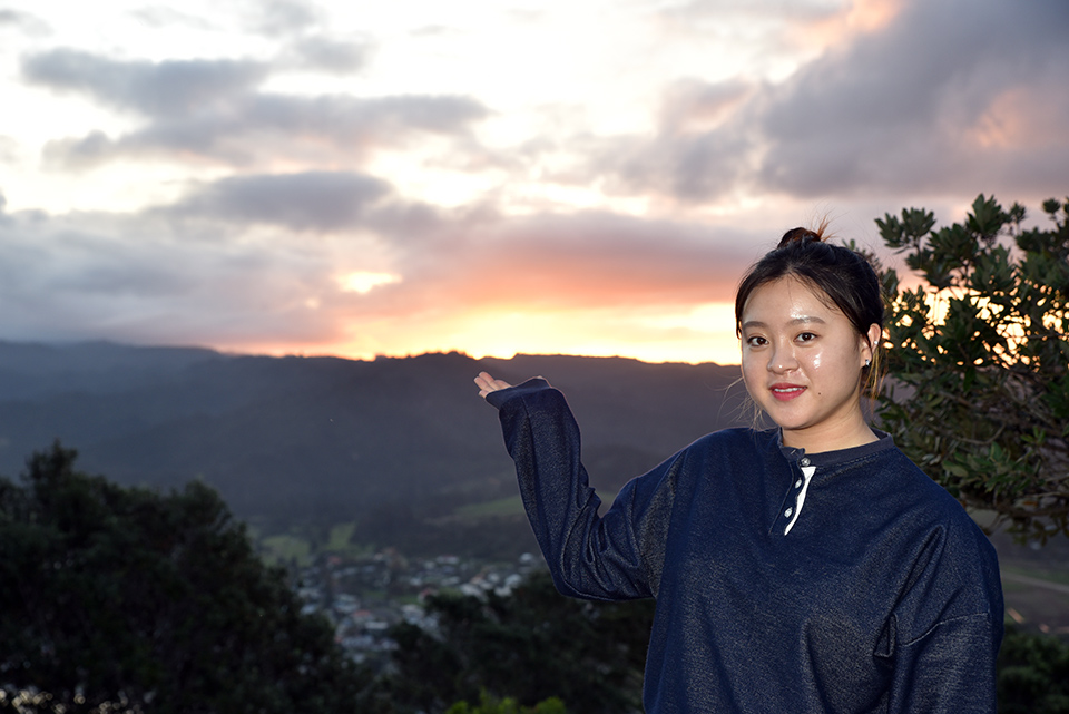 Paku Hill, Coromandel